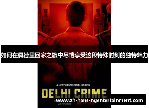 如何在佩德里回家之旅中尽情享受这段特殊时刻的独特魅力