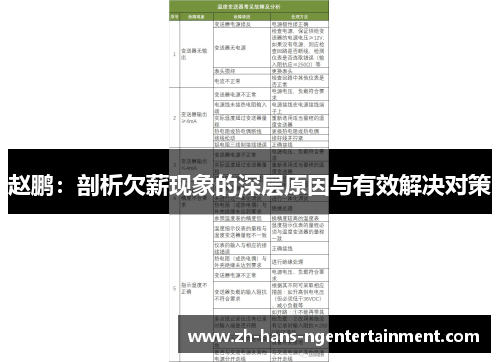 赵鹏：剖析欠薪现象的深层原因与有效解决对策