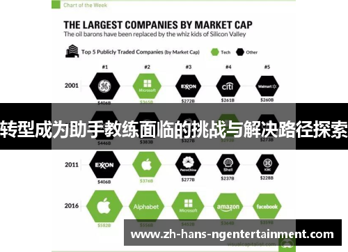 转型成为助手教练面临的挑战与解决路径探索