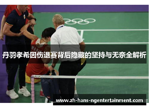 丹羽孝希因伤退赛背后隐藏的坚持与无奈全解析