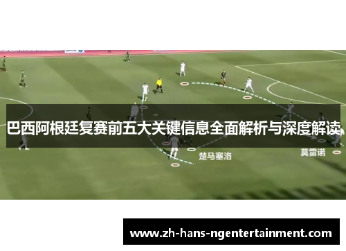 巴西阿根廷复赛前五大关键信息全面解析与深度解读