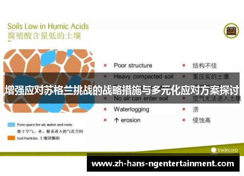 增强应对苏格兰挑战的战略措施与多元化应对方案探讨