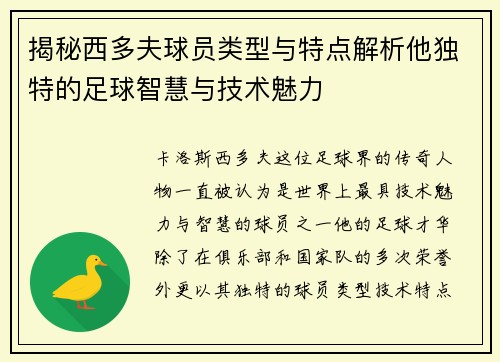 揭秘西多夫球员类型与特点解析他独特的足球智慧与技术魅力