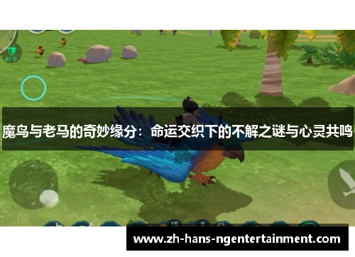 魔鸟与老马的奇妙缘分：命运交织下的不解之谜与心灵共鸣