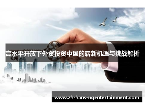 高水平开放下外资投资中国的崭新机遇与挑战解析